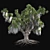 Optimized Live Oak Tree 3D model small image 4