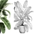 Exotic Indoor Plant Collection 3D model small image 5