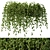 Lively Ivy - Hang and Thrive! 3D model small image 1