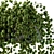 Lively Ivy - Hang and Thrive! 3D model small image 3