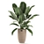 Exotic Plant Basket Collection 3D model small image 4