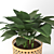 Elegance in a Vase: Hosta Plant 3D model small image 2