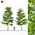 Realistic Birch Trees: Detailed 3D Models 3D model small image 6