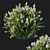 Majestic Myrtle Bush: Realistic 3D Model 3D model small image 1