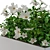 Elegant White Flower Bouquet 3D model small image 2