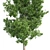 Optimized Quad Gum Tree 3D model small image 4