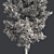 Optimized Quad Gum Tree 3D model small image 5