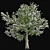 Pruned Apple Tree, High-Quality 4K Texture 3D model small image 3