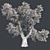 Optimized Red Gum Tree - Realistic, High-Quality Model 3D model small image 5