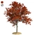 Title: Autumn Splendor Red Maple Tree 3D model small image 1