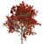 Title: Autumn Splendor Red Maple Tree 3D model small image 2