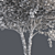 Optimized River Birch Tree 3D model small image 5
