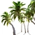 Trio of Majestic Coconut Palms 3D model small image 3