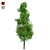 Sourwood Tree: High-Quality 3D Model 3D model small image 1