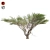 Optimized Quad Umbrella Thorn Tree 3D model small image 1