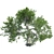 Premium White Oak Tree: Realistic 3D Model 3D model small image 2