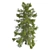 Premium Alaska Cedar Tree: Optimized, Real-World Scale 3D model small image 3