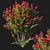 Red Flowered Myrtle Bush 3D model small image 1