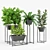 Elevate Nature: Stand Planter Set 3D model small image 1