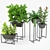 Elevate Nature: Stand Planter Set 3D model small image 3