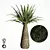Tropical Palm Tree Replica 3D model small image 2