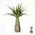Tropical Palm Tree Replica 3D model small image 3