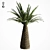 Tropical Palm Tree Replica 3D model small image 8