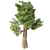 Giant Redwood Tree Sculpture 3D model small image 3