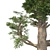 Giant Redwood Tree Sculpture 3D model small image 4