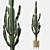 Euphorbia Candelabrum: Indoor Cactus 3D model small image 1