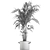 Tropical Palm Collection in Concrete Pots 3D model small image 5