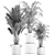 Tropical Indoor Palms in Concrete Pots 3D model small image 4