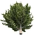 Hollywood Juniper 02: Realistic Quad-Optimized Tree 3D model small image 1