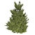 Hollywood Juniper 02: Realistic Quad-Optimized Tree 3D model small image 2