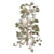 Natural Huangshan Pine Tree 02 3D model small image 3