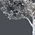 Italian Cypress 3D Tree 3D model small image 5