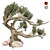 Optimized Jeffrey Pine Tree - Realistic 4K Textures 3D model small image 1