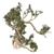 Optimized Jeffrey Pine Tree - Realistic 4K Textures 3D model small image 3
