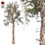 Lush Loblolly Pine: Optimal Quad Topology 3D model small image 1