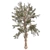 Lush Loblolly Pine: Optimal Quad Topology 3D model small image 3