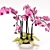 Pink Phalaenopsis Orchid 3D model small image 1