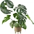 Tropical Monstera Plant - 90cm 3D model small image 1