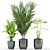 Tropical Greenery: Majesty Palm, Alocasia, Aspidistra Set 3D model small image 2