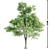 Nature's Grove 5 Tree Set 3D model small image 3