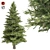 Premium Norway Spruce Tree 3D model small image 1