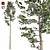 Natural Scots Pine Tree - Optimized with Clean Topology 3D model small image 1