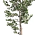 Natural Scots Pine Tree - Optimized with Clean Topology 3D model small image 4