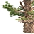 Optimized Western Juniper Tree 3D model small image 4