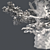 Optimized Western Juniper Tree 3D model small image 5