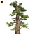 Optimized Western Juniper 99% Quad Tree 3D model small image 1